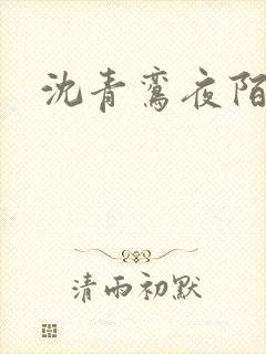 沈青鸾夜陌凌