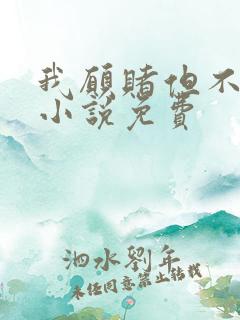 我愿赌但不服输小说免费