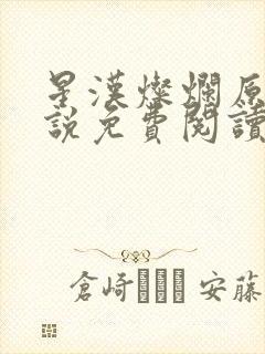 星汉灿烂原著小说免费阅读