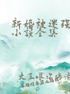新婚被迷强系列小说全集