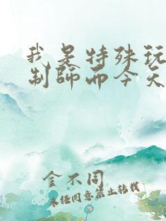 我是特殊玩具定制师而今天的客户