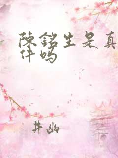 陈铭生是真实事件吗