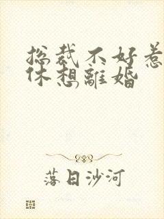 总裁不好惹女人休想离婚