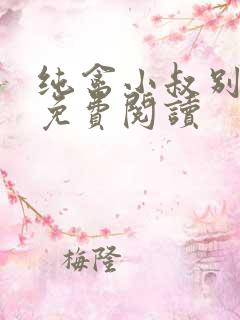 纯禽小叔别太猛免费阅读