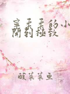 宁柔柔的小泬撑开到极致