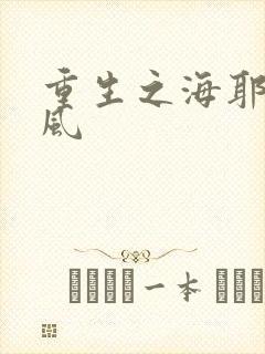 重生之海耶斯旋风