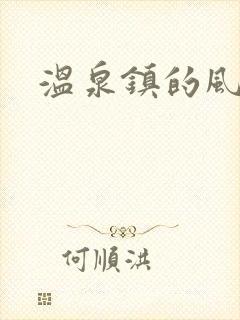温泉镇的风流事