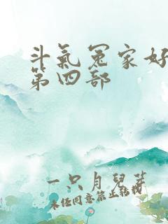 斗气冤家好兄弟第四部