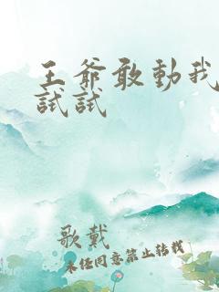 王爷敢动我妈咪试试