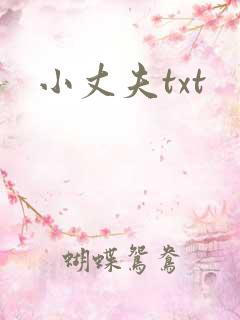 小丈夫txt