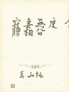 宠妻无度  金牌相公