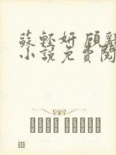 苏轻妍 顾辞笙小说免费阅读