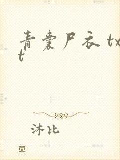 青囊尸衣 txt
