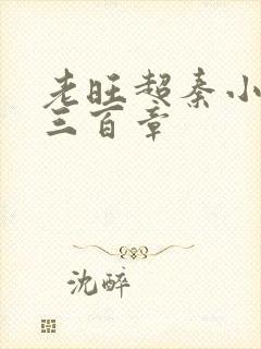 老旺超秦小雨第三百章