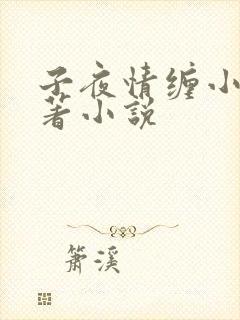 子夜情缠小说原著小说