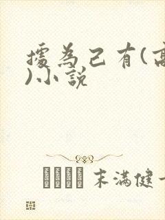 据为己有(高干)小说