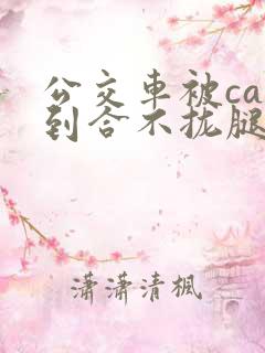 公交车被cao到合不拢腿视频