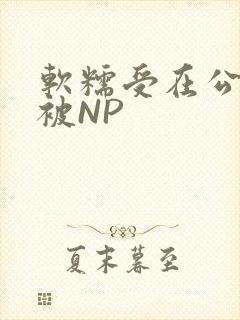 软糯受在公交车被NP
