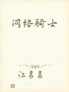 网络骑士