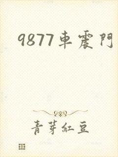 9877车震门