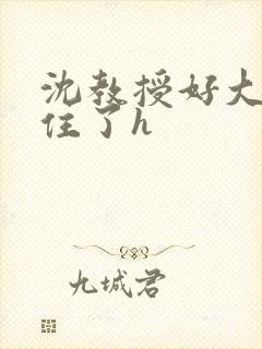 沈教授好大含不住了h