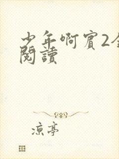 少年啊宾2全文阅读