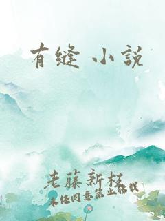 有缝 小说