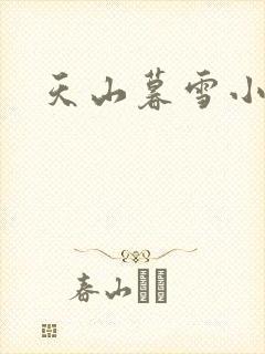 天山暮雪小说