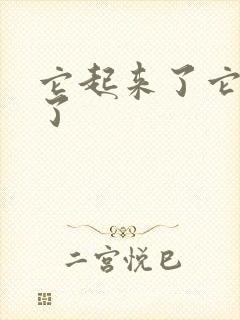 它起来了它想你了