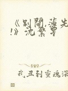 《别闹,薄先生!》沈繁星