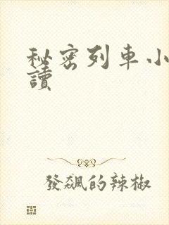 秘密列车小说阅读