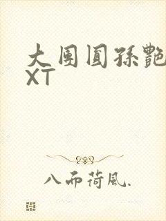 大团圆孙艳梅TXT