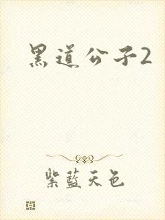 黑道公子2