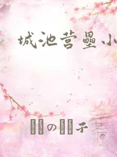 城池营垒小说
