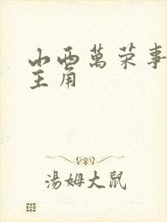 山西万荣事件女主角