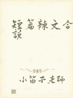 短篇辣文合集小说