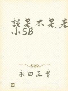 说是不是老公的小SB