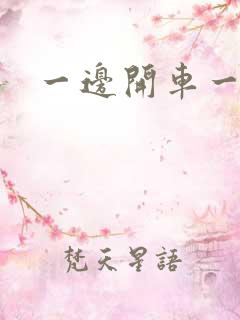 一边开车一边做