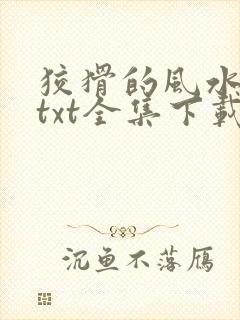 狡猾的风水相师txt全集下载