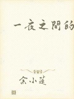 一夜之间的天才