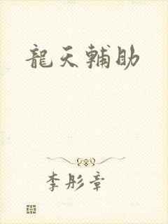 龙天辅助