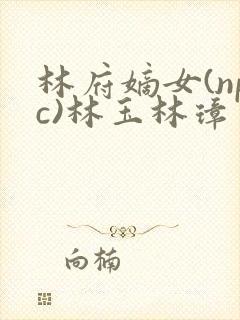 林府嫡女(npc)林玉林璋