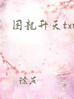 困龙升天txt