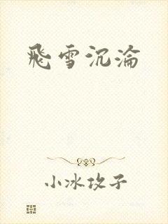 飞雪沉沦