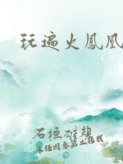 玩遍火凤凰队员