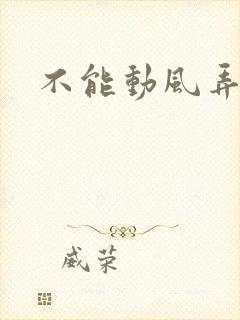 不能动风弄