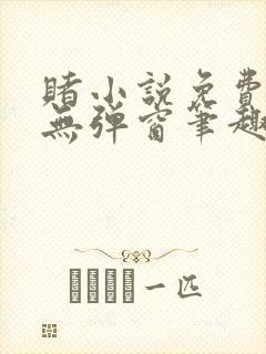 赌小说免费阅读无弹窗笔趣阁