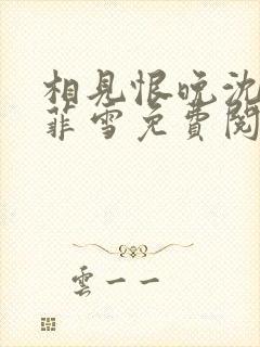 相见恨晚沈浩秦菲雪免费阅读