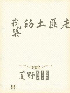 我的土匪老婆全集