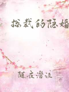 总裁的隐婚新娘